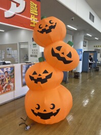 ハロハロハロウィン♪